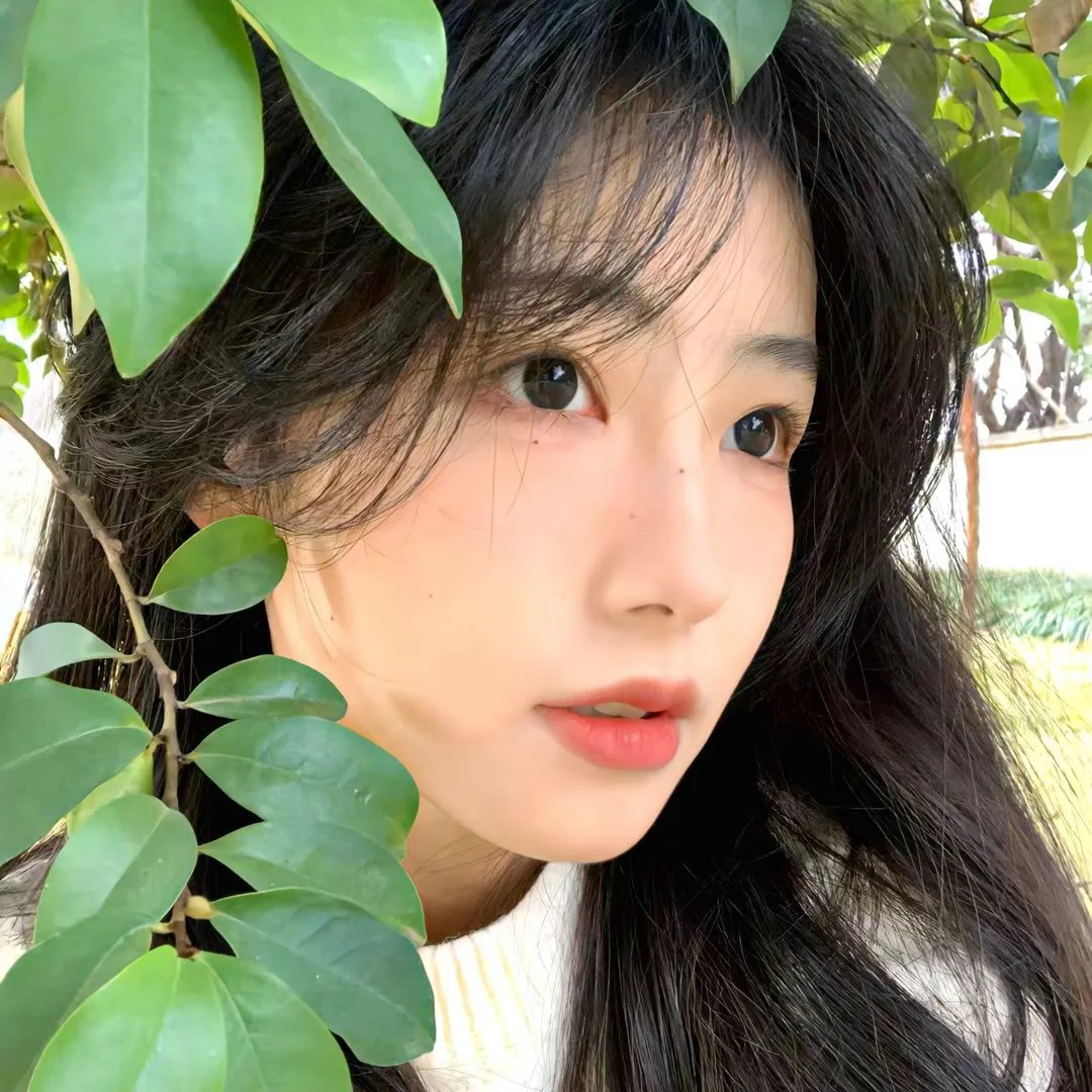 触不到的爱恋